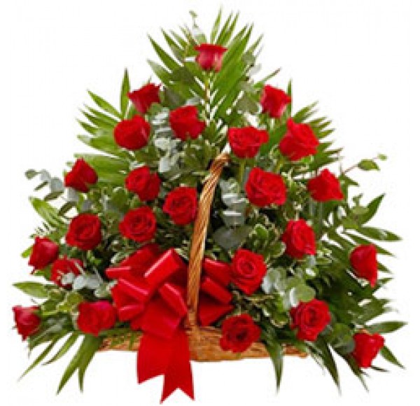 Blossoming Basket of 30 Roses in Red Colour